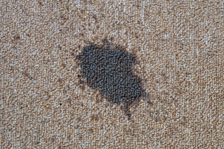 Home Remedy to Remove Grease from Carpet