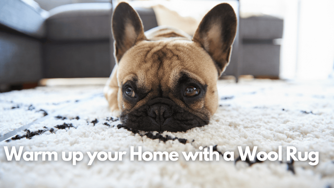 Contemporary and Quality Wool Rugs - Direct Carpet