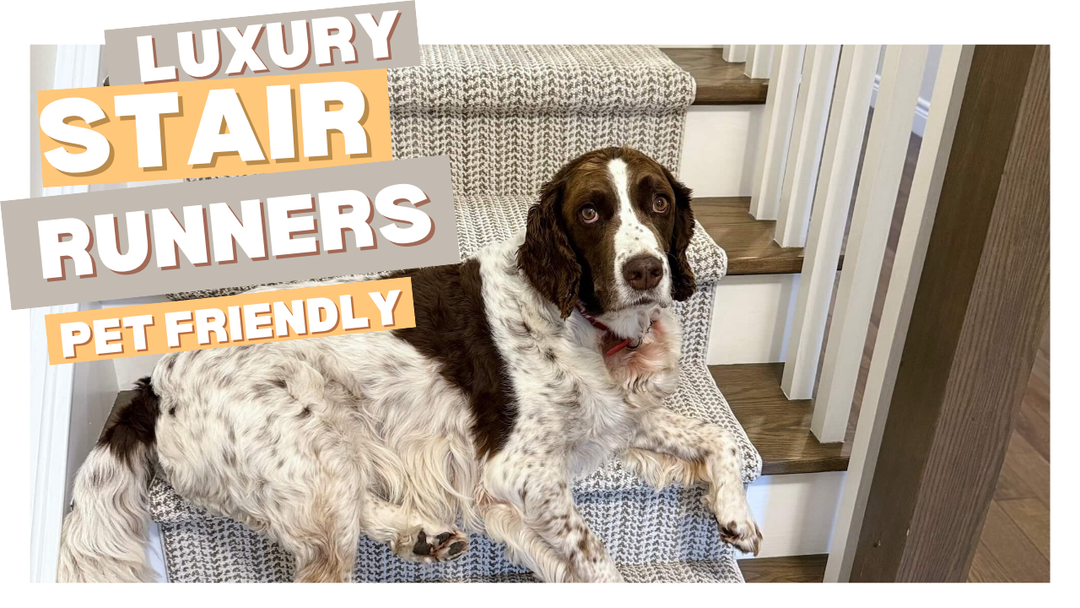 luxury pet friendly stair runners