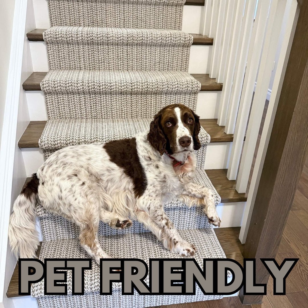 Pet Perfect & Pet Protected Stair Runners - Direct Carpet