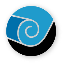 Direct_Carpet_Logo-2