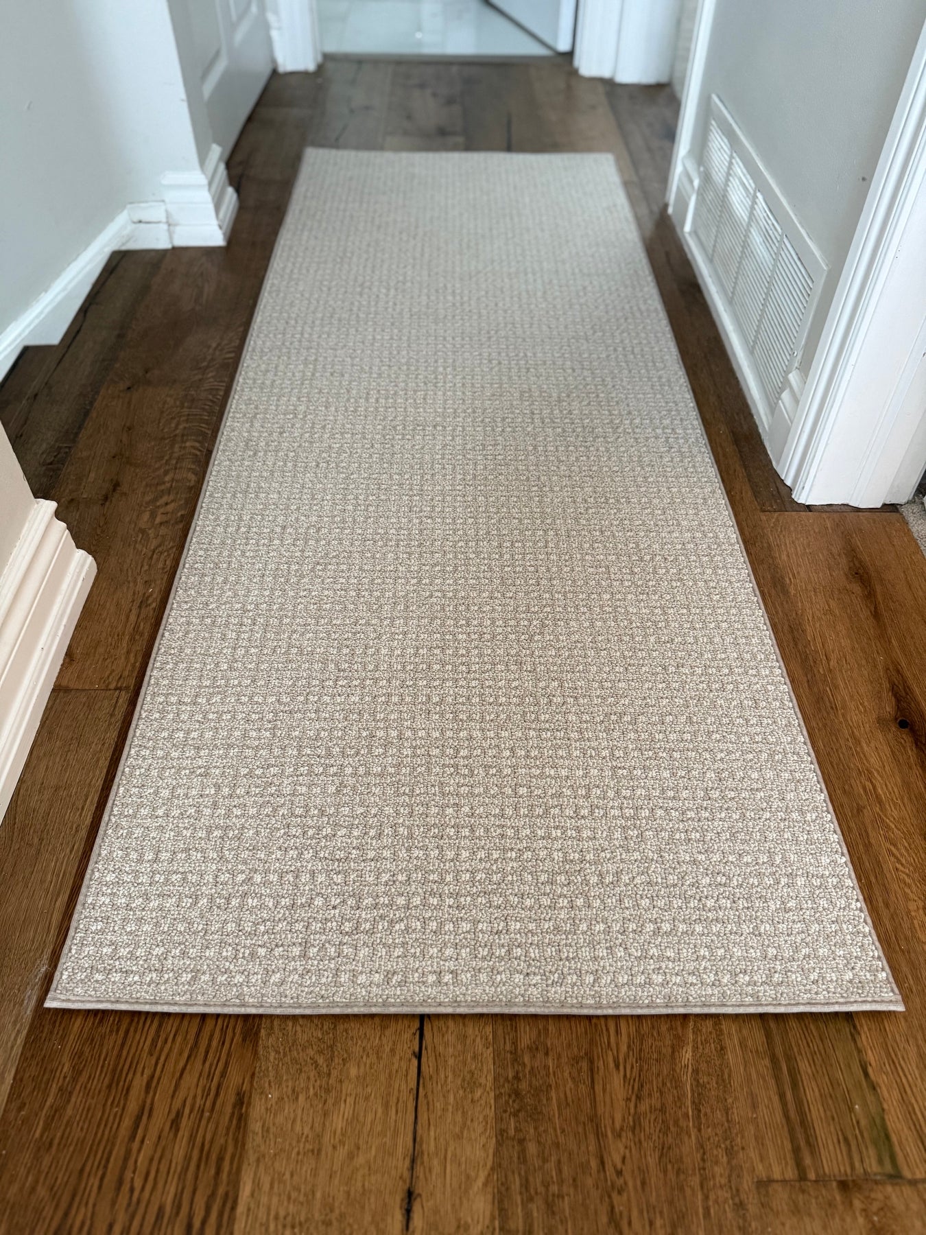 Anderson Tuftex Fetch Hallway Runners & Area Rugs – Direct Carpet