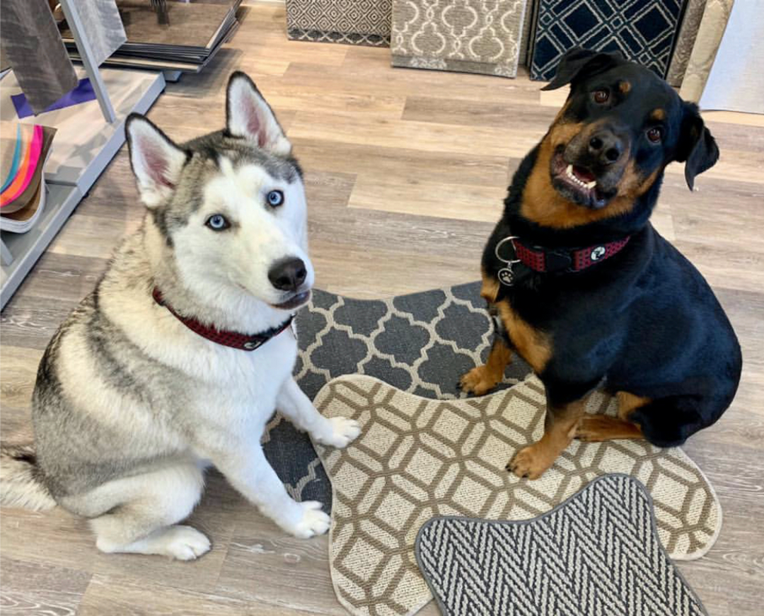 Dog-charity-dog-bone-rug